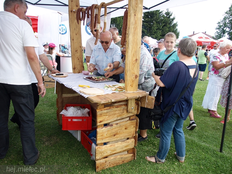 Podkarpacki Dzień Wędliniarza Radomyśl Wielki 2015
