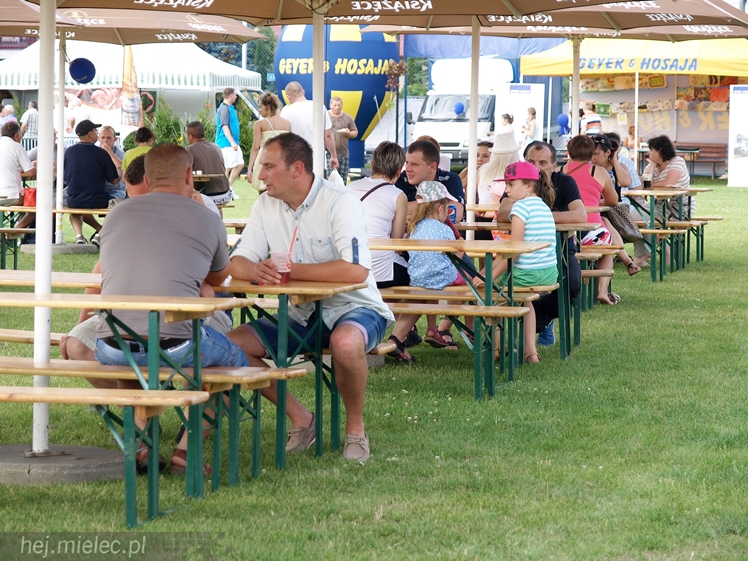 Podkarpacki Dzień Wędliniarza Radomyśl Wielki 2015