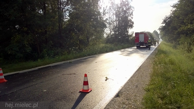 Burze i porywisty wiatr nad regionem. Drzewo zablokowało drogę