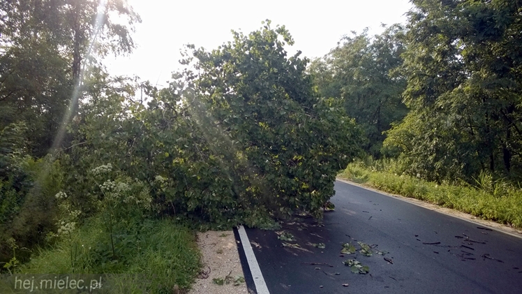 Burze i porywisty wiatr nad regionem. Drzewo zablokowało drogę