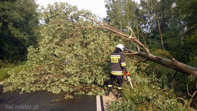 Burze i porywisty wiatr nad regionem. Drzewo zablokowało drogę