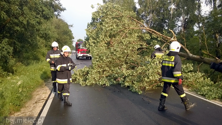 Burze i porywisty wiatr nad regionem. Drzewo zablokowało drogę