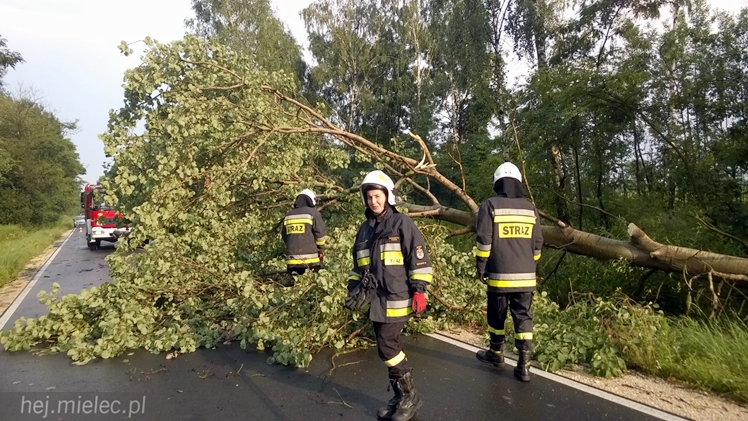 Burze i porywisty wiatr nad regionem. Drzewo zablokowało drogę