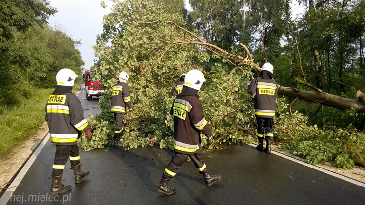 Burze i porywisty wiatr nad regionem. Drzewo zablokowało drogę
