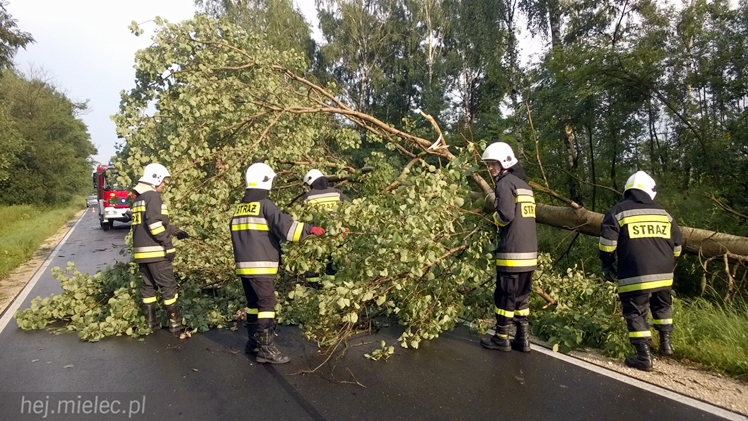 Burze i porywisty wiatr nad regionem. Drzewo zablokowało drogę