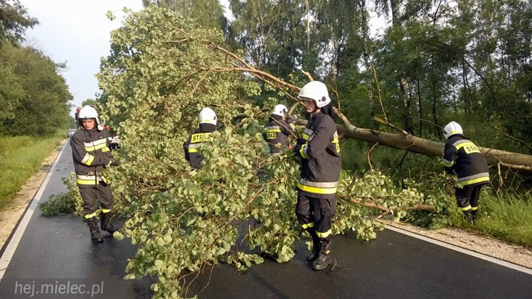 Burze i porywisty wiatr nad regionem. Drzewo zablokowało drogę