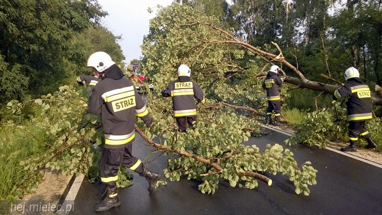 Burze i porywisty wiatr nad regionem. Drzewo zablokowało drogę