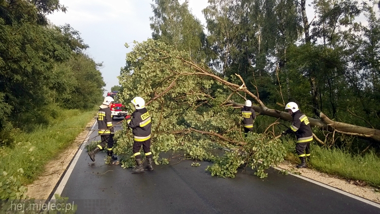 Burze i porywisty wiatr nad regionem. Drzewo zablokowało drogę
