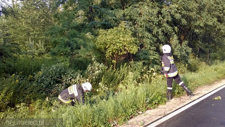 Burze i porywisty wiatr nad regionem. Drzewo zablokowało drogę