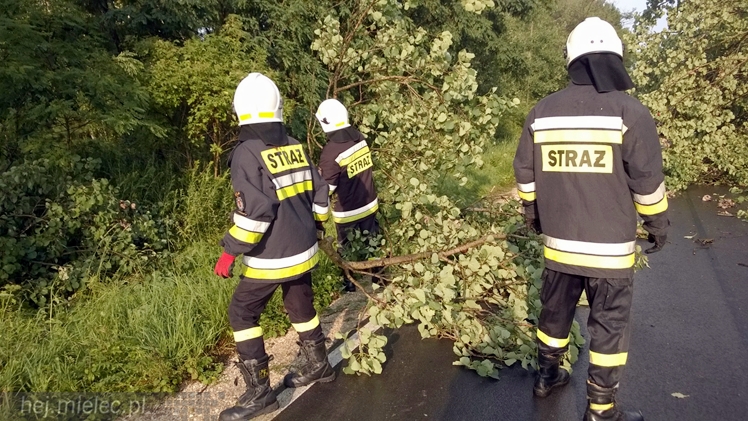 Burze i porywisty wiatr nad regionem. Drzewo zablokowało drogę