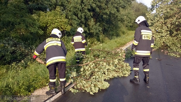 Burze i porywisty wiatr nad regionem. Drzewo zablokowało drogę