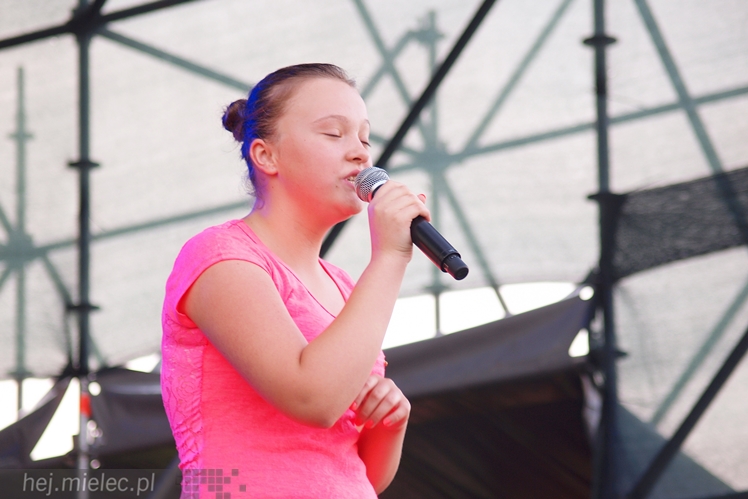 Dni Radomyśla Wielkiego 2015: nieprzebrane tłumy i wielki koncert