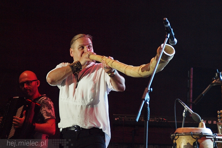 Dni Radomyśla Wielkiego 2015: nieprzebrane tłumy i wielki koncert