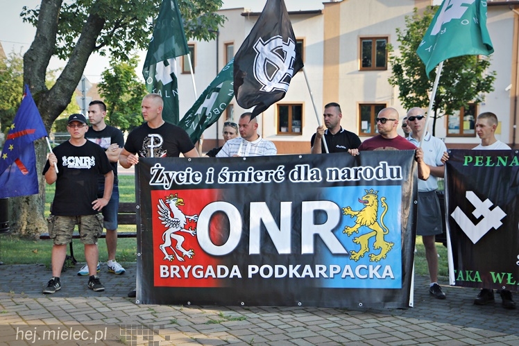 Marsz Dmowskiego na ulicach Mielca