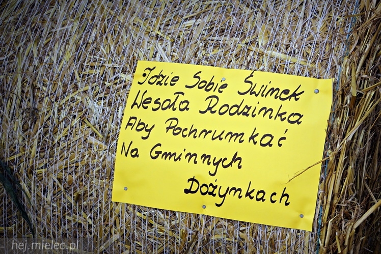 Dożynki 15 sierpnia 2015 roku w Padwi Narodowej
