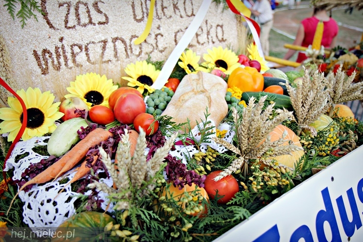 Dożynki 15 sierpnia 2015 roku w Padwi Narodowej