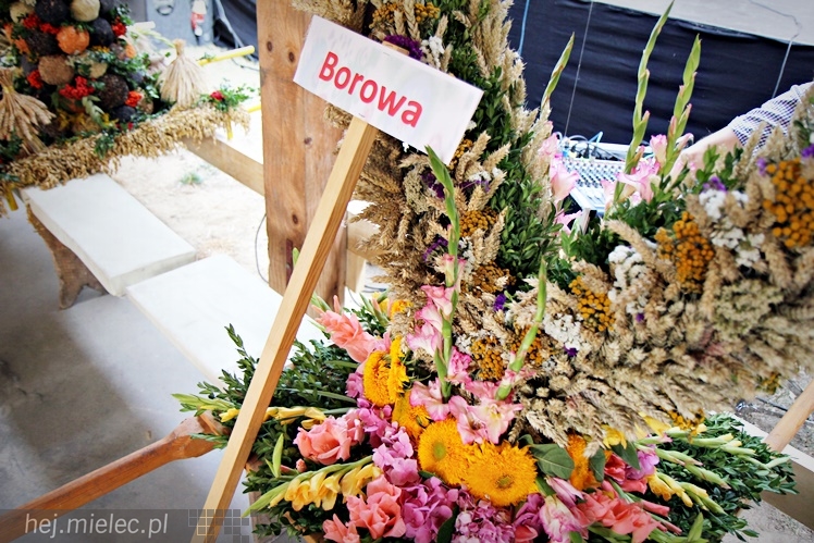 Dożynki 15 sierpnia 2015 roku w Surowej