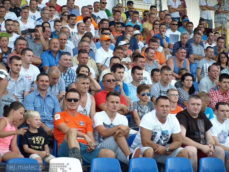 Ekstraklasa: Termalica Bruk-Bet Nieciecza - Górnik Zabrze 3:0