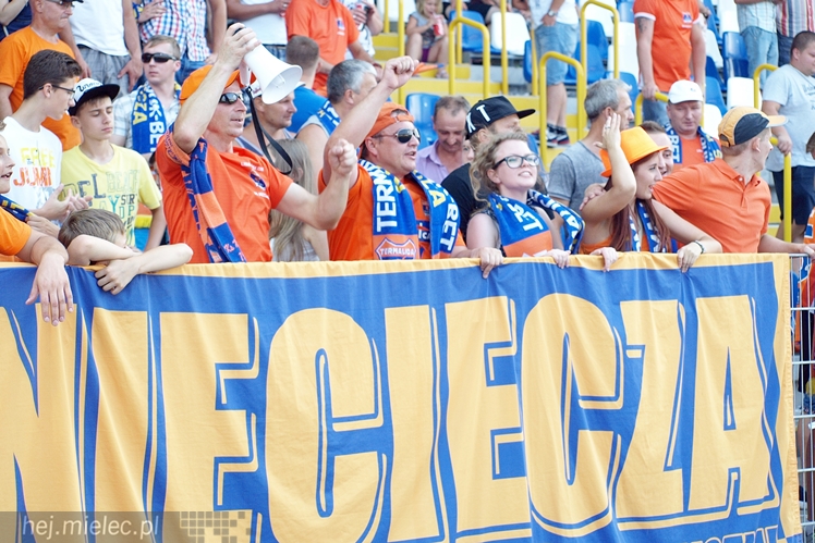 Ekstraklasa: Termalica Bruk-Bet Nieciecza - Górnik Zabrze 3:0