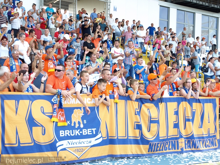 Ekstraklasa: Termalica Bruk-Bet Nieciecza - Górnik Zabrze 3:0
