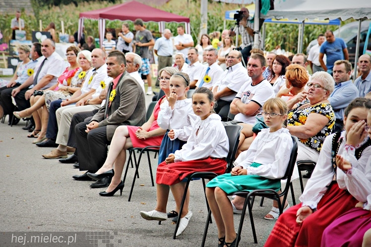 Dożynki 16 sierpnia 2015 roku w Czerminie