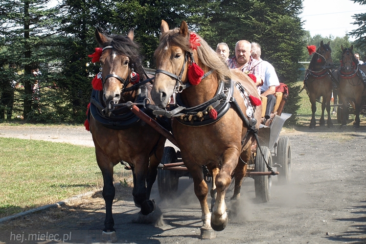 VII Parada Konna w Żarówce
