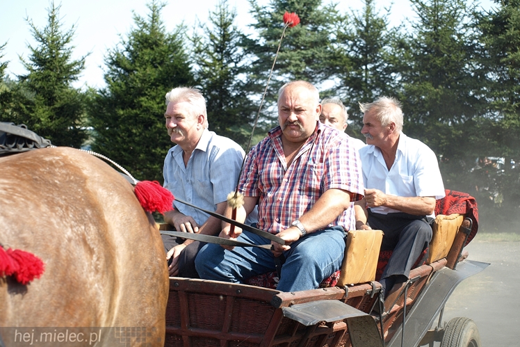 VII Parada Konna w Żarówce