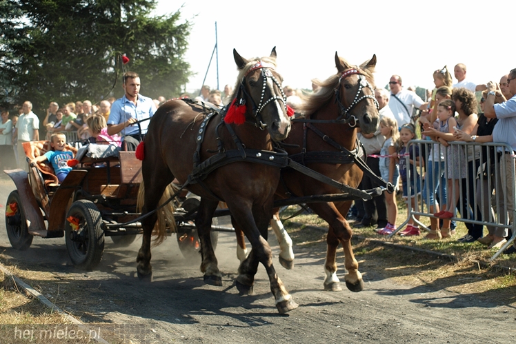 VII Parada Konna w Żarówce