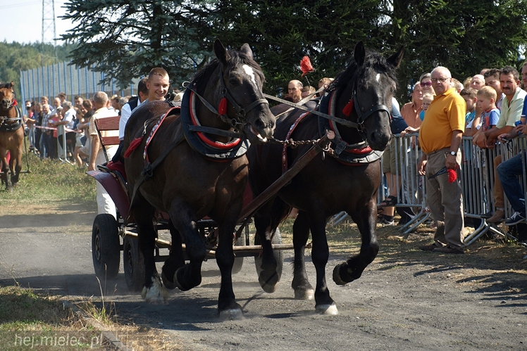 VII Parada Konna w Żarówce