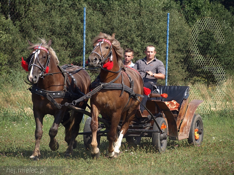 VII Parada Konna w Żarówce