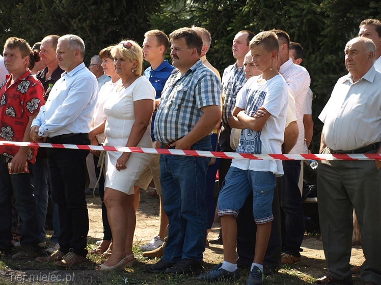 VII Parada Konna w Żarówce