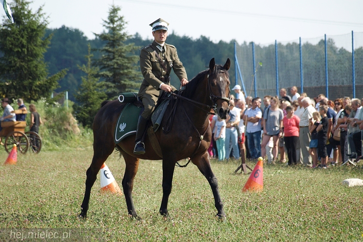 VII Parada Konna w Żarówce