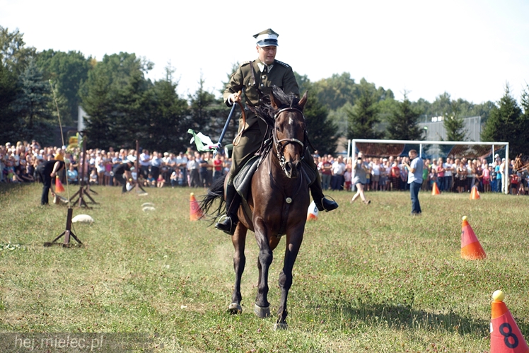 VII Parada Konna w Żarówce