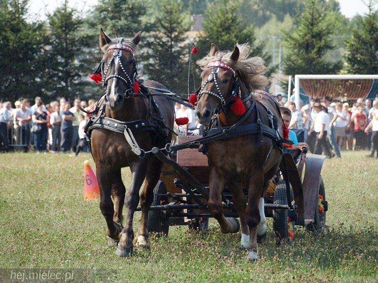 VII Parada Konna w Żarówce