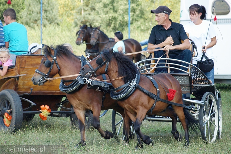 VII Parada Konna w Żarówce