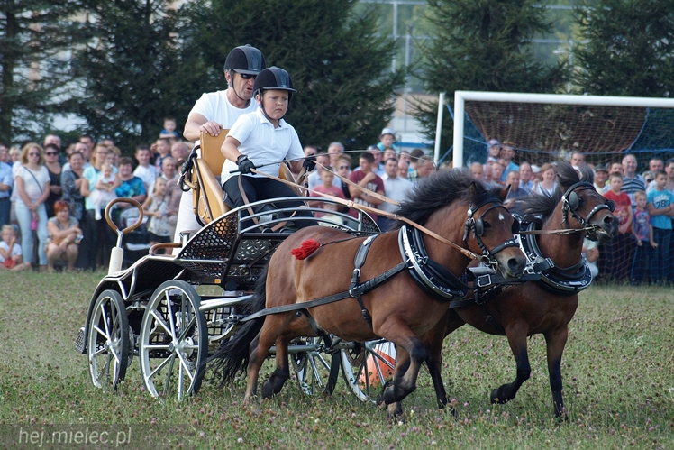 VII Parada Konna w Żarówce