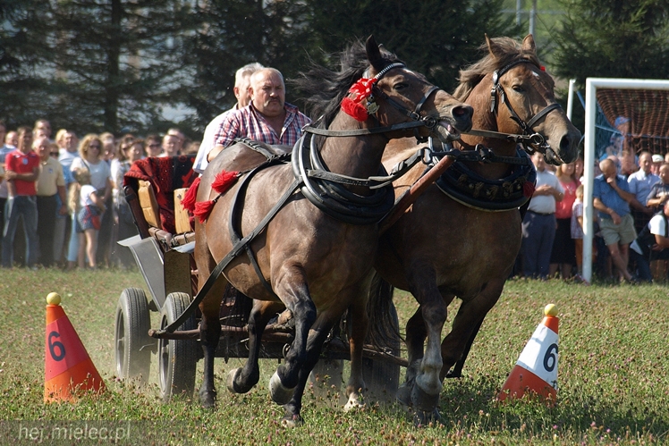 VII Parada Konna w Żarówce