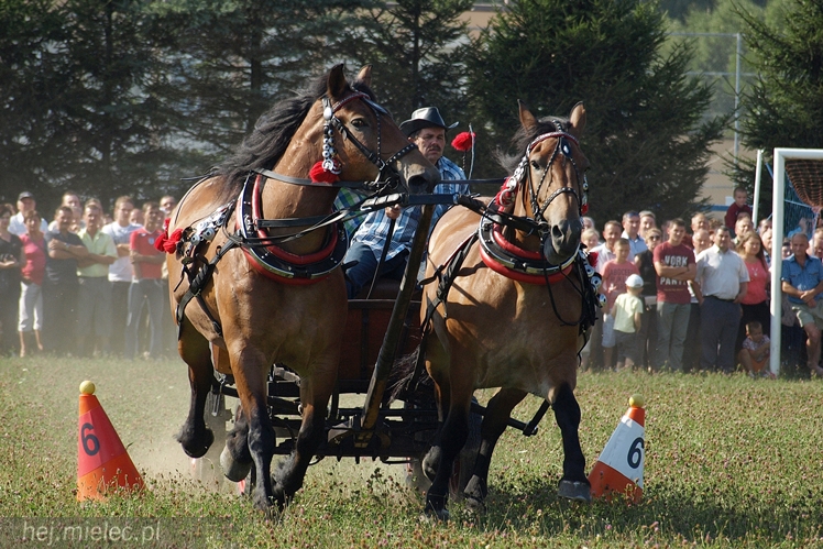 VII Parada Konna w Żarówce