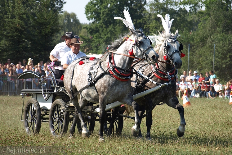 VII Parada Konna w Żarówce