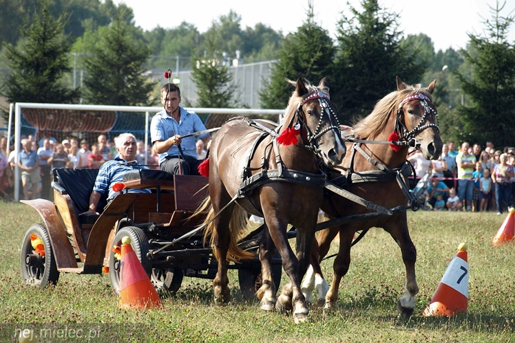 VII Parada Konna w Żarówce