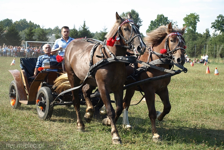VII Parada Konna w Żarówce