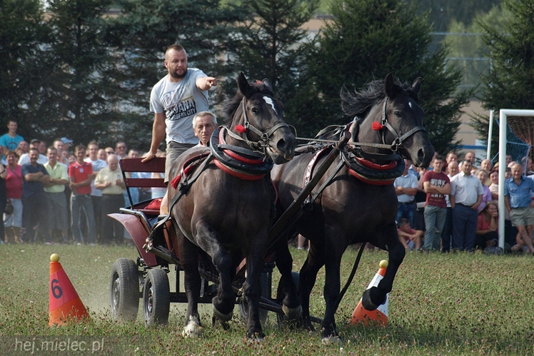 VII Parada Konna w Żarówce