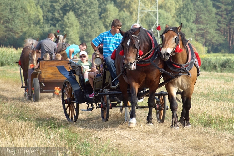 VII Parada Konna w Żarówce