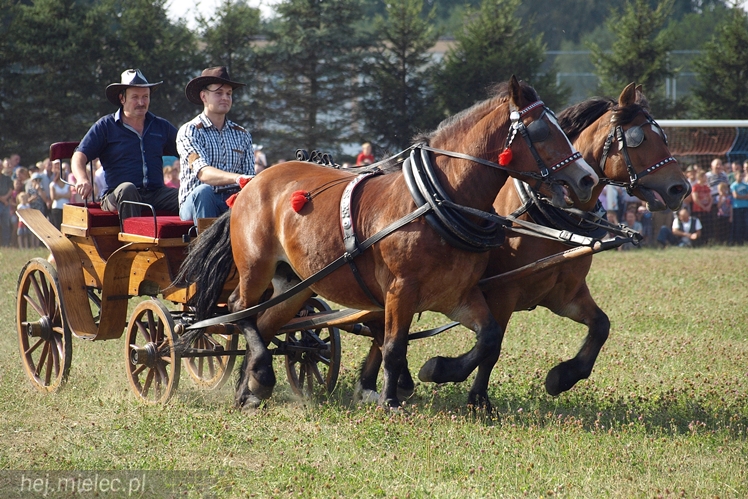VII Parada Konna w Żarówce
