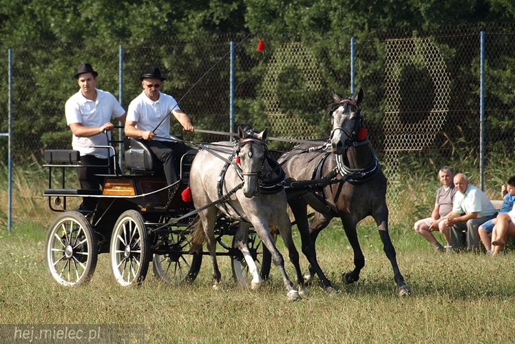 VII Parada Konna w Żarówce