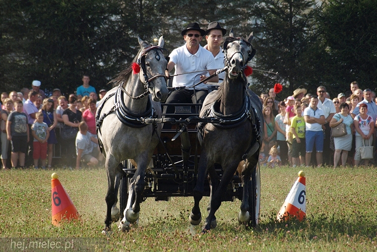 VII Parada Konna w Żarówce