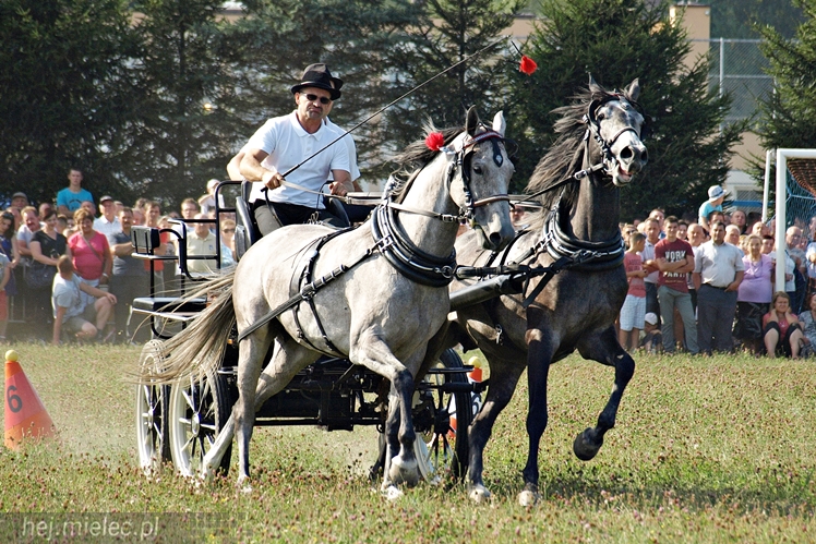 VII Parada Konna w Żarówce