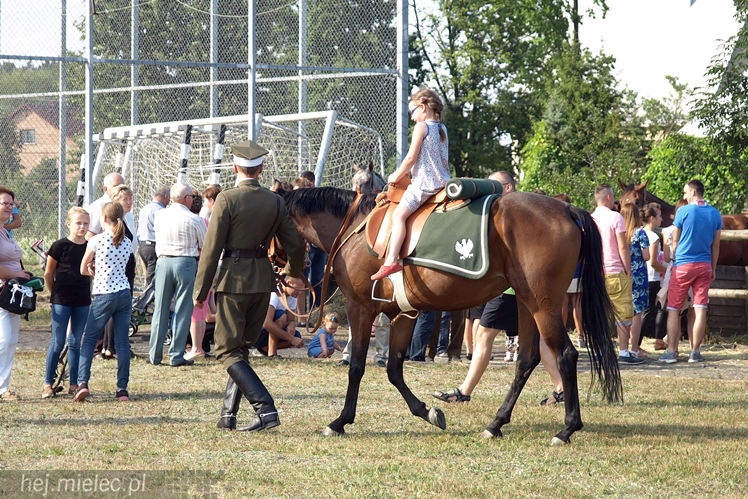 VII Parada Konna w Żarówce