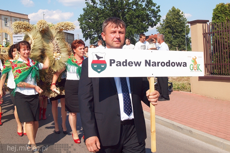 Dożynki Powiatu Mieleckiego 2015