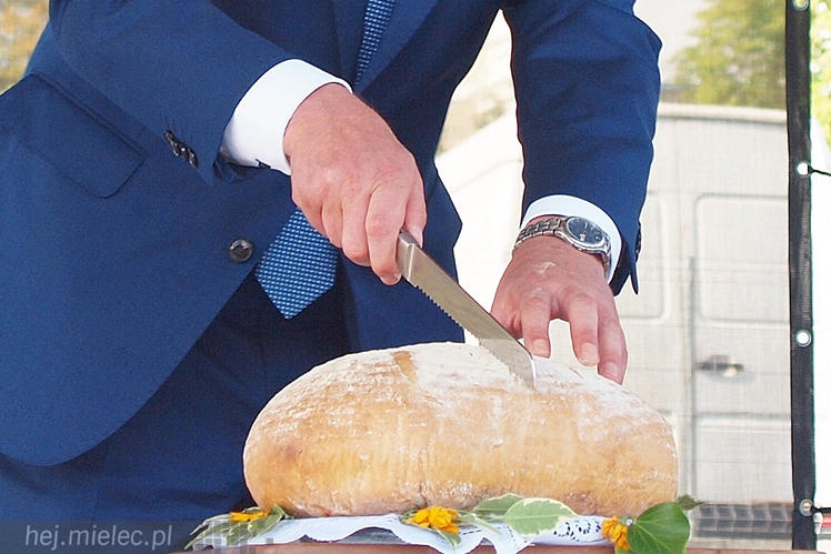 Dożynki Powiatu Mieleckiego 2015